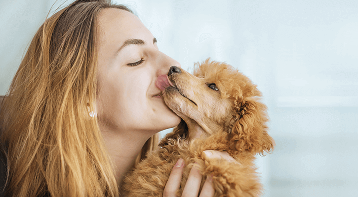 Puppy giving owner kisses
